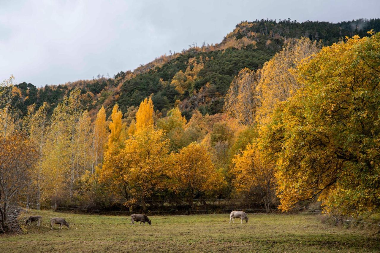 Casa Rural Besoli Areu Kültér fotó